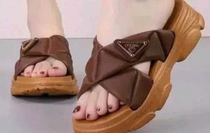 Brown Slippers