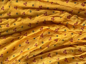 Ethnic Embroidered Skirt