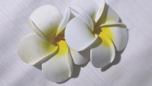 White And Yellow Flower Hair Accessories