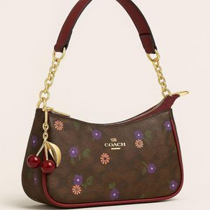 Coach Shoulder Bag
