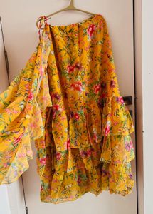 Indo Western Saree