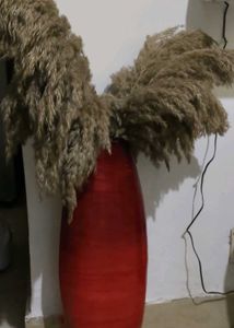 Red Vase with Pampas Grass