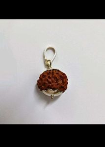 combo of 6 and 9 mukhi rudrakshas