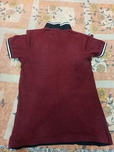 Branded T Shirts Partywear