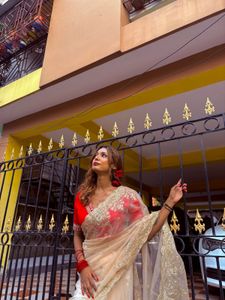 Elegant Embroidered Saree