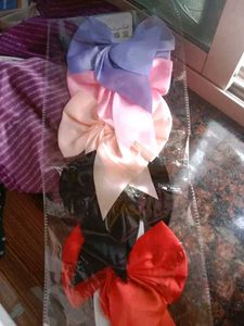 New Bow For You Cutie