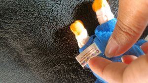 Shinchan Plush Keychain