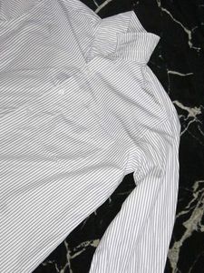 Striped Button-Down Shirt