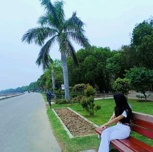 Peaceful Park Scene