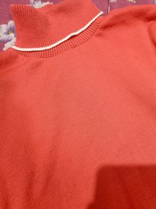 Florescent Sweater With High Neck
