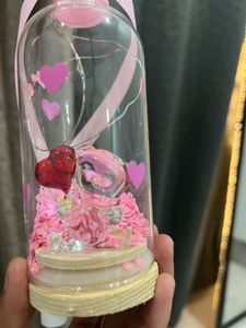 Adorable Bear Couple Dome Light