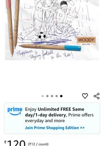 Flair Woody Ball Pen - 10 Pack