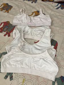 Sports Wear Bra