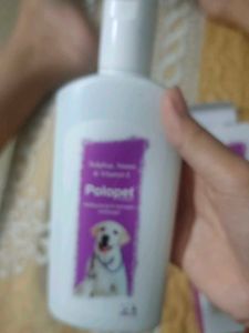 Polopet Shampoo For Antibacterial