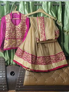 Embroidered Lehenga Choli Set