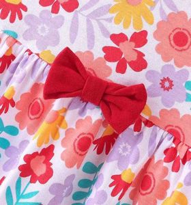 Preemie Frock Pack Of 2