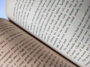 The Habit of Winning by Prakash Iyer