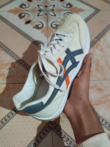 Shoes 7no