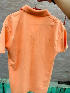 Orignal Relph Lauren Special edition Polo T shirts