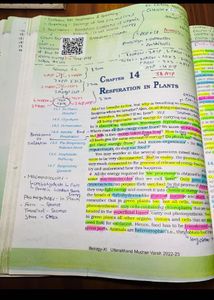 Biology Textbook Class XII