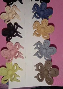 Mini Korean Hair Claws