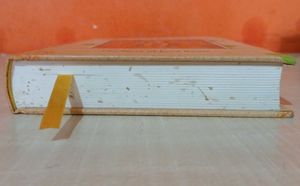 Ramayana: The Story of Lord Rama