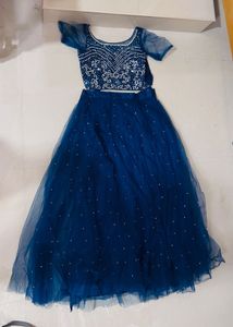 Blue Embellished Lehenga Choli