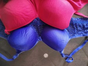 Brand New Padded Bra Combo