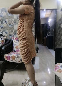 Ruched Leopard Print Dress