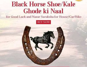 100% Original Kale Ghode ki naal in Iron