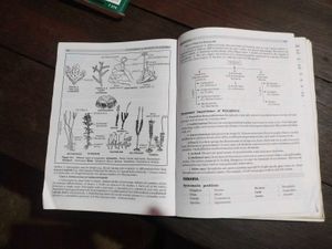 Class XI Botany Textbook