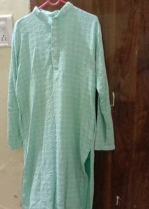 Elegant Light Green Kurta