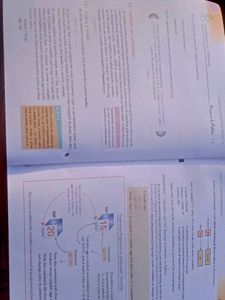 Computer Science Python Book Class 11th