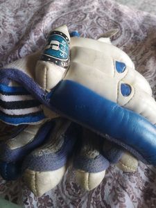 Sagar Cricket Gloves
