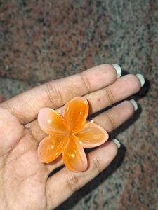 Flower Hair Clips (Set of 3)