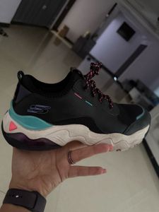Sketcher’s Limited Edition  Uk 7