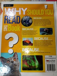 WHY? Answers to Everything