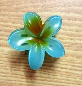 Aesthetic And Trendy Flower Claw Clip/Clutcher