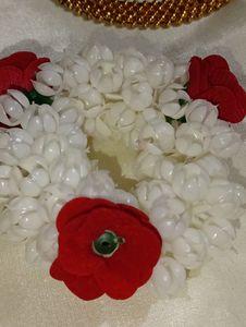 Beautiful Flowers Juda 🌸