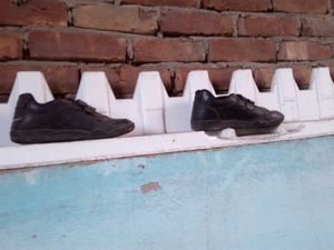 Black Shoe