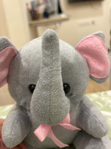 Baby Elephant Soft Toy