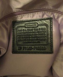 coach hobo style bag