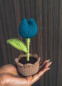 Tulip Pot