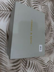 Charles &amp; Keith Handbag-all colors