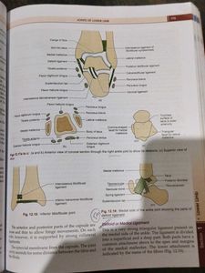 Human Anatomy Vol 2 and vo