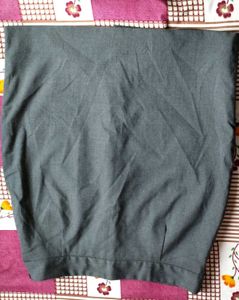 Allen Solly Gray Mini Skirt