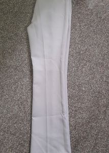 Zara Trousers Formals