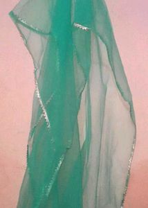 Elegant lite green 🦠 Embellished Lehenga Choli