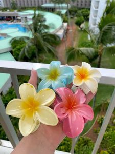 Flower Hair Claws Pack Of 3 Pcs