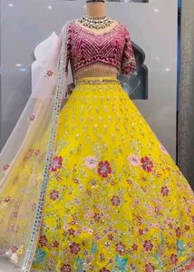 Unique Desgin Lehenga